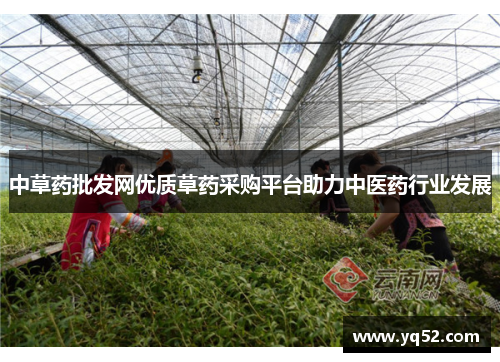 中草药批发网优质草药采购平台助力中医药行业发展 中草药批发网优质草药采购平台助力中医药行业发展