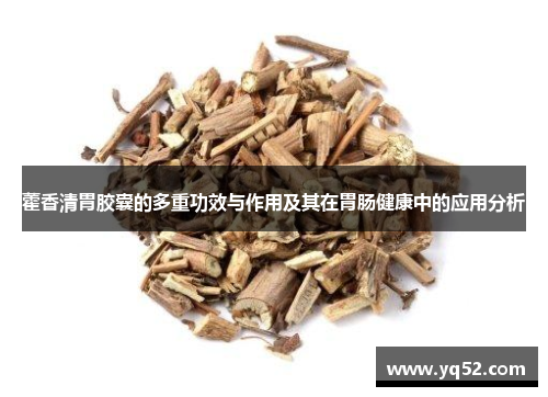 藿香清胃胶囊的多重功效与作用及其在胃肠健康中的应用分析 藿香清胃胶囊的多重功效与作用及其在胃肠健康中的应用分析