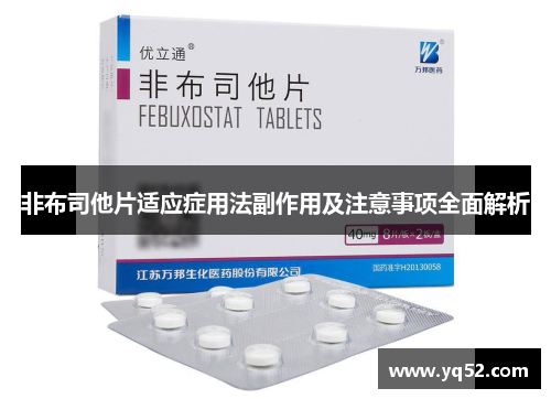 非布司他片适应症用法副作用及注意事项全面解析 非布司他片适应症用法副作用及注意事项全面解析