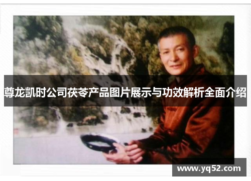 尊龙凯时公司茯苓产品图片展示与功效解析全面介绍 尊龙凯时公司茯苓产品图片展示与功效解析全面介绍